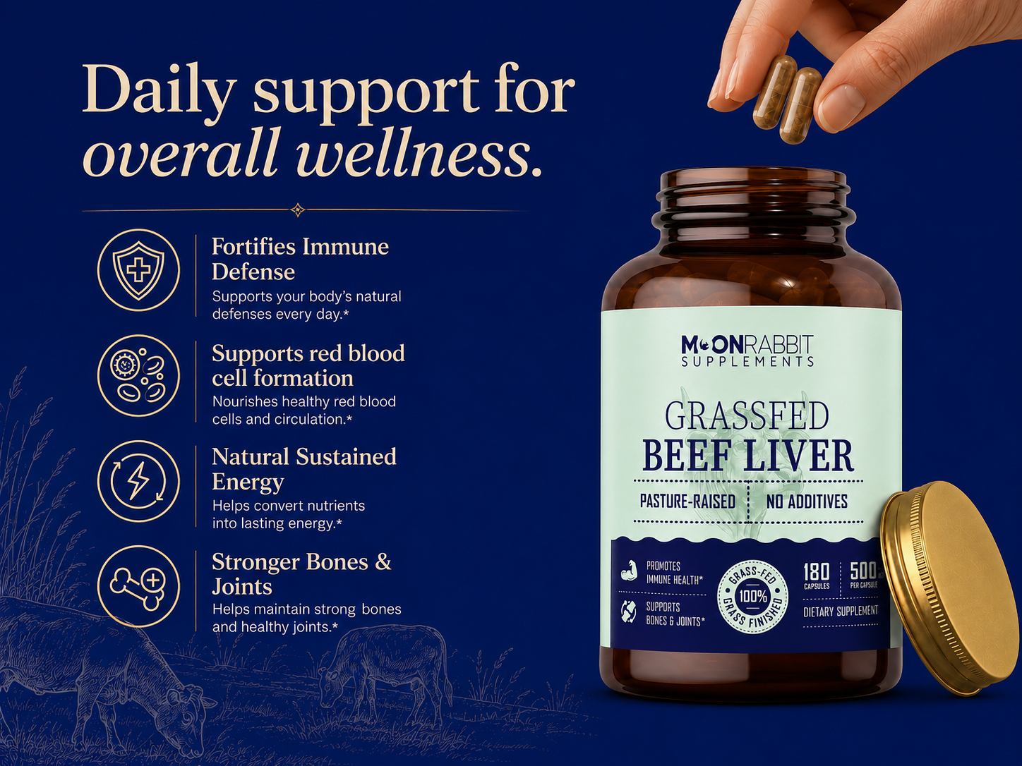 beef liver capsules benefits